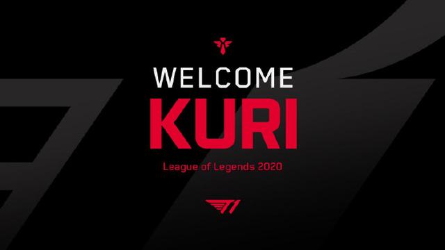 这次十拿九 这次十拿九